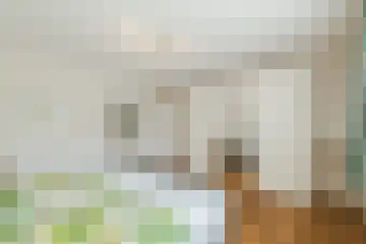 Esdoornlaan 9 Beilen thumbnail 22