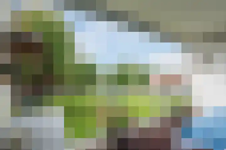 Esdoornlaan 9 Beilen thumbnail 23