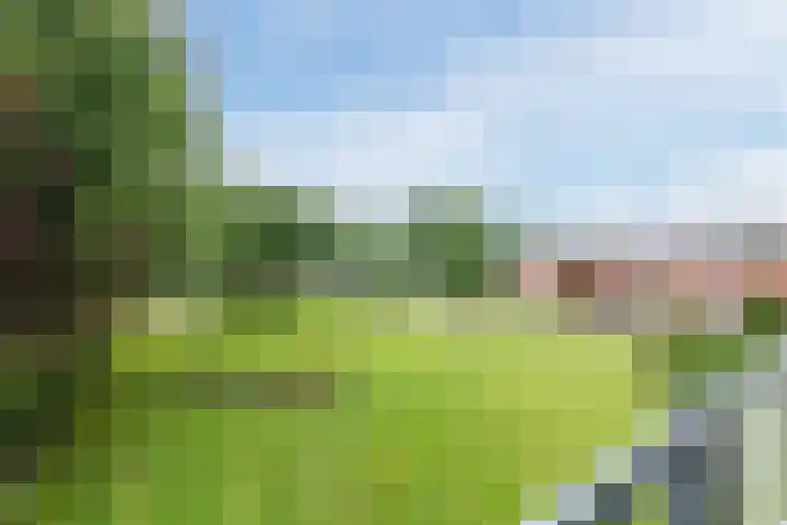 Esdoornlaan 9 Beilen thumbnail 24