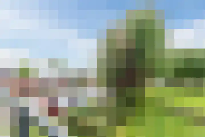 Esdoornlaan 9 Beilen thumbnail 25