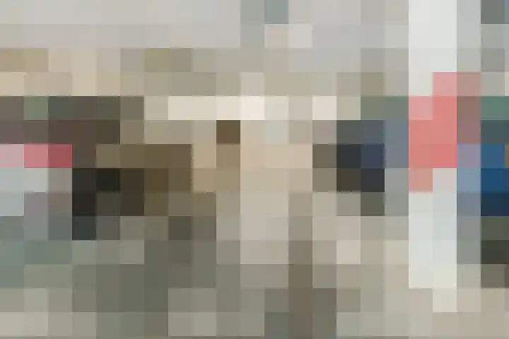Esdoornlaan 9 Beilen thumbnail 26