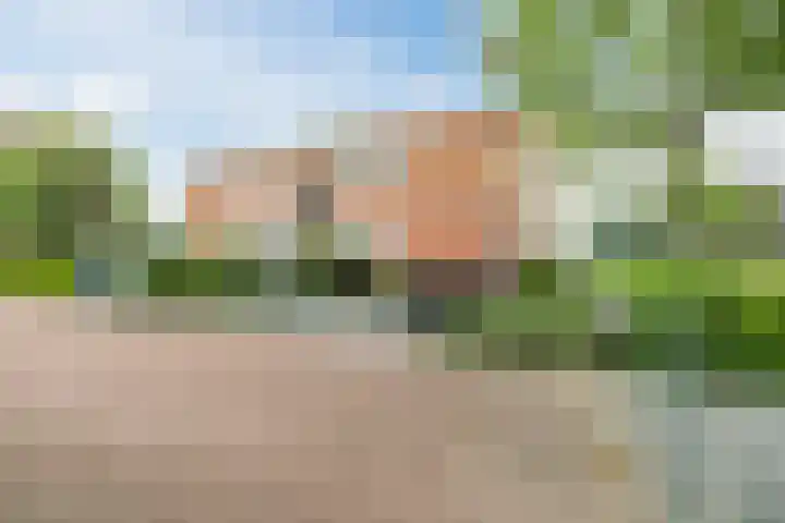 Esdoornlaan 9 Beilen thumbnail 27