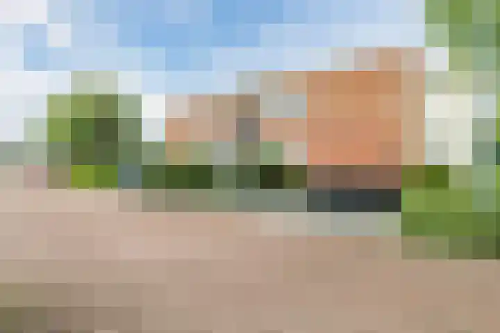 Esdoornlaan 9 Beilen foto 3
