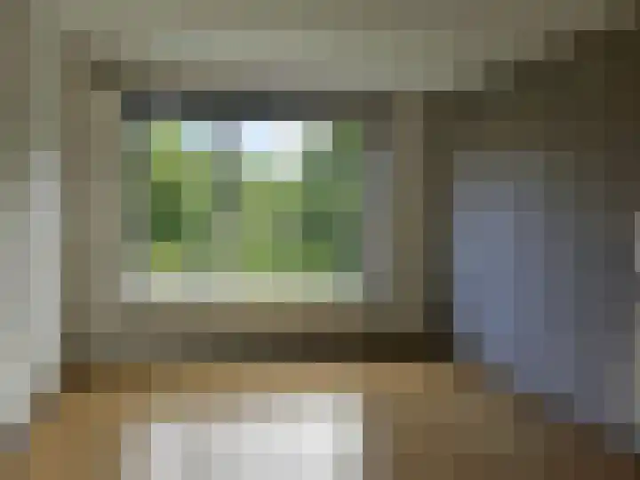Esdoornlaan 9 Hoogeveen thumbnail 11