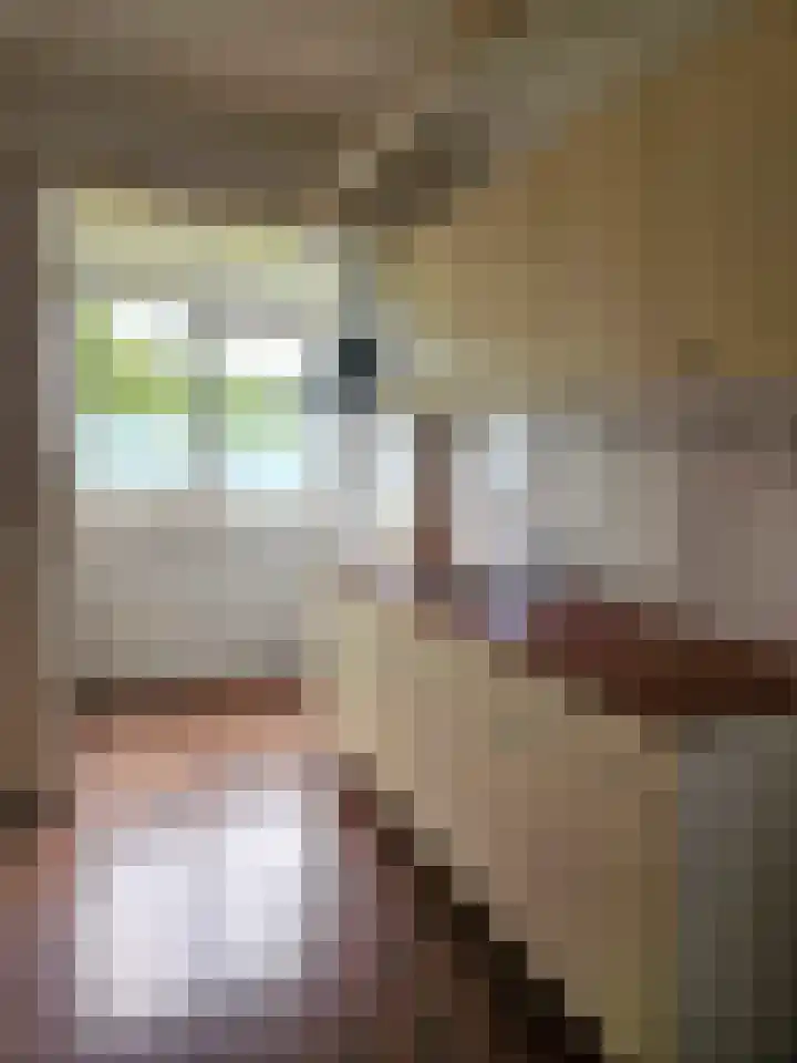 Esdoornlaan 9 Hoogeveen thumbnail 15