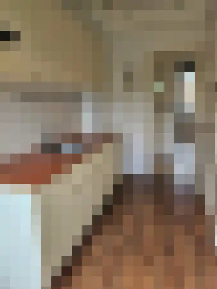 Esdoornlaan 9 Hoogeveen thumbnail 16