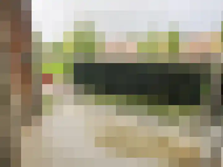 Esdoornlaan 9 Hoogeveen thumbnail 22