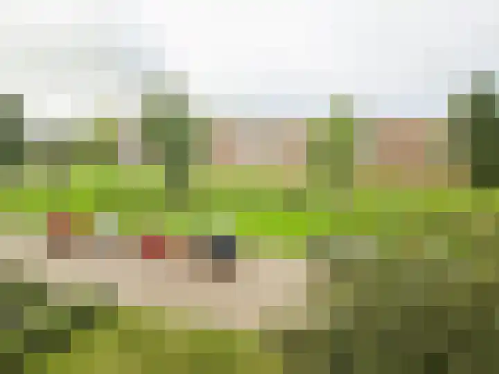 Esdoornlaan 9 Hoogeveen thumbnail 23