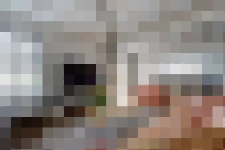Esdoornlaan 9 Langenboom thumbnail 10