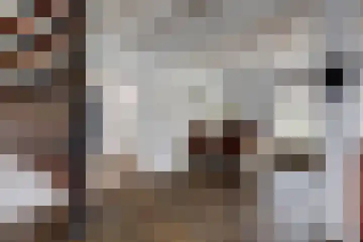 Esdoornlaan 9 Langenboom thumbnail 15