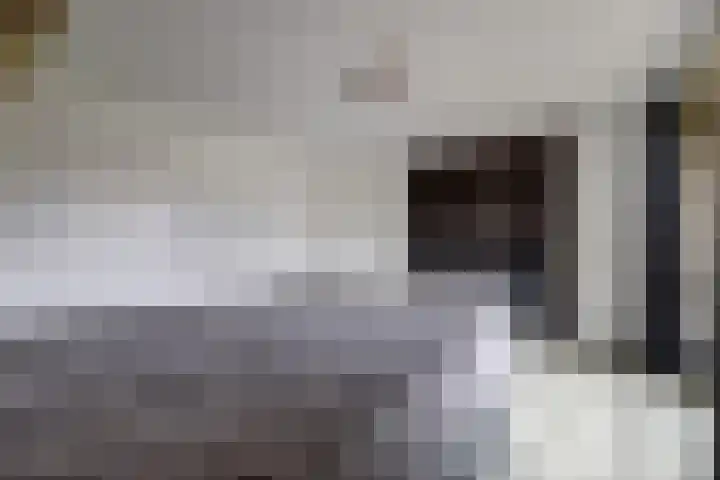 Esdoornlaan 9 Langenboom thumbnail 18