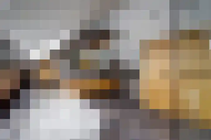 Esdoornlaan 9 Langenboom thumbnail 23