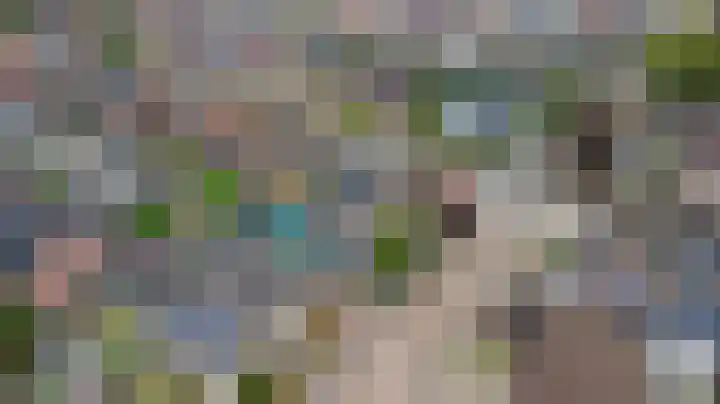 Esdoornlaan 9 Langenboom thumbnail 37