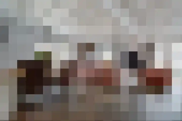 Esdoornlaan 9 Langenboom thumbnail 9