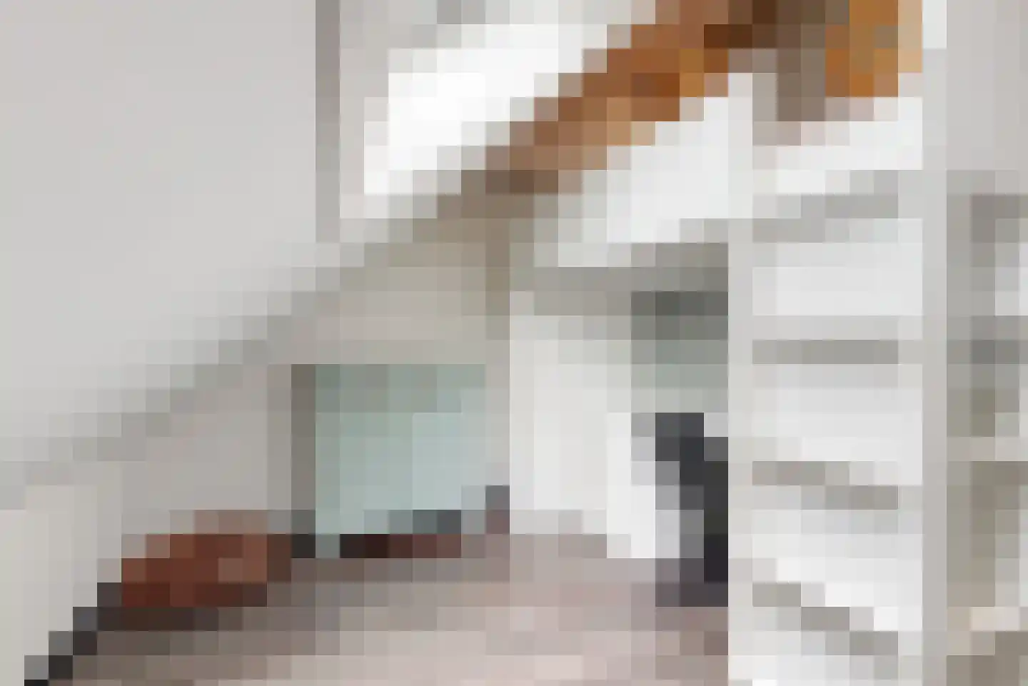 Esdoornlaan 9 Woerden thumbnail 28