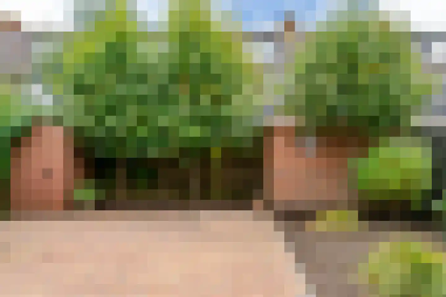 Esdoornlaan 9 Woerden thumbnail 32