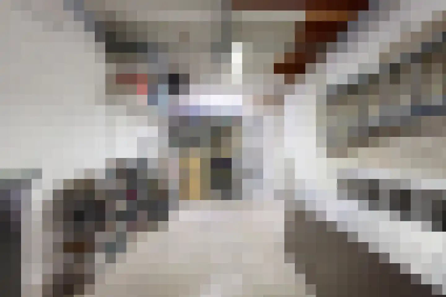 Esdoornlaan 9 Woerden thumbnail 40