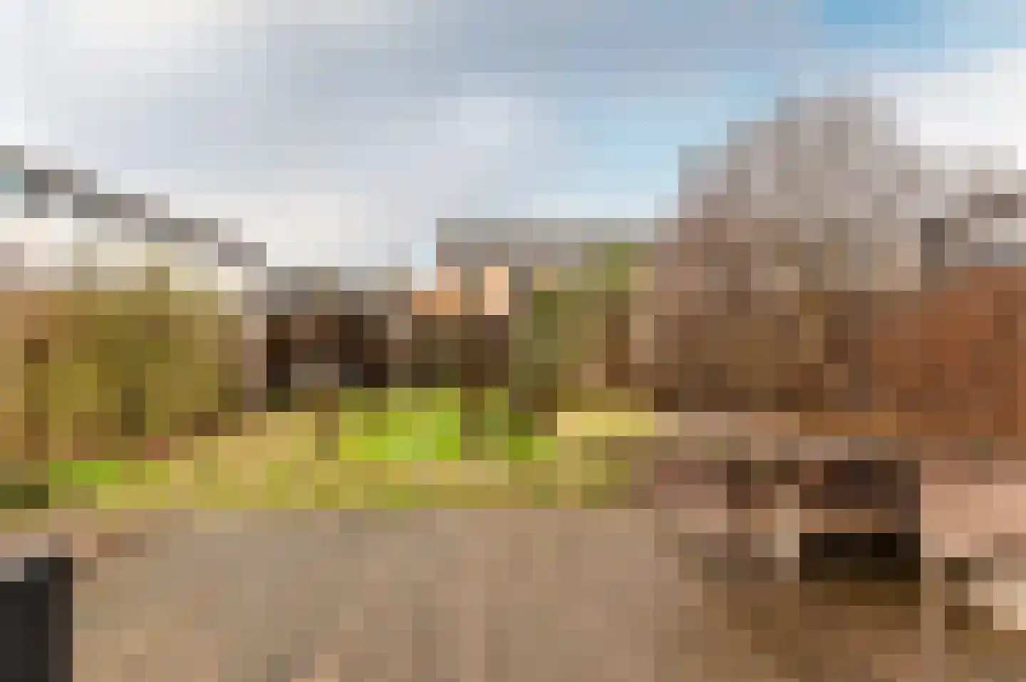 Esdoornplantsoen 116 Almere thumbnail 25