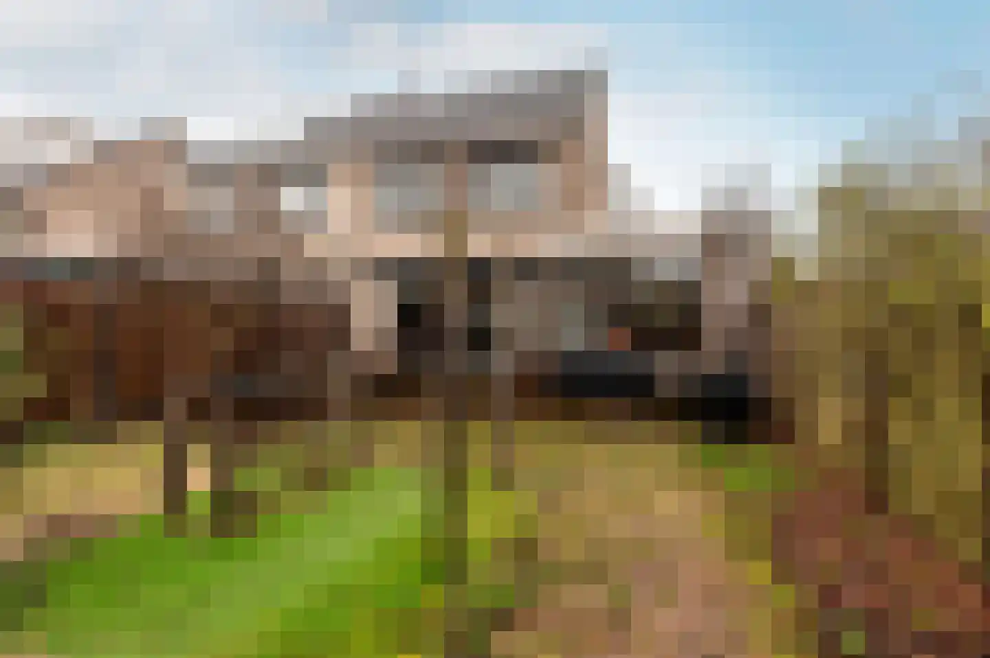 Esdoornplantsoen 116 Almere thumbnail 27