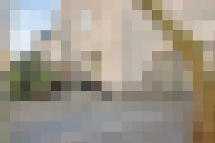 Esdoornplantsoen 19 Almere thumbnail 10