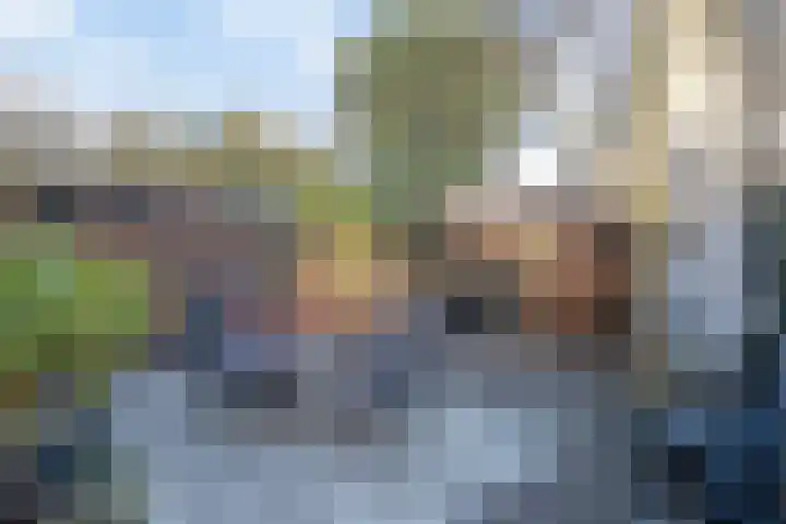 Esdoornplantsoen 19 Almere thumbnail 43
