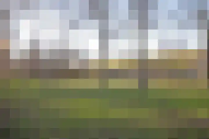 Esdoornplantsoen 19 Almere thumbnail 49