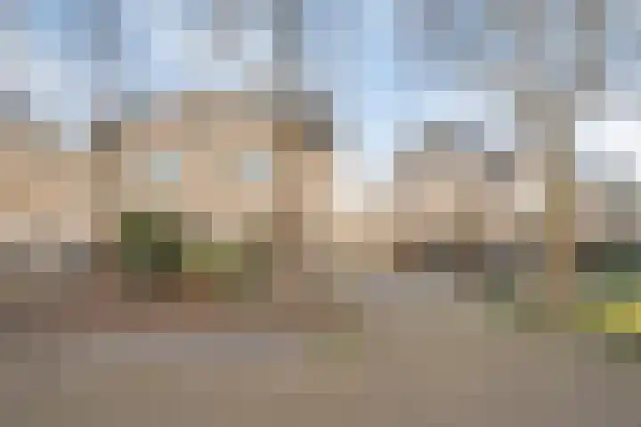 Esdoornplantsoen 19 Almere thumbnail 5