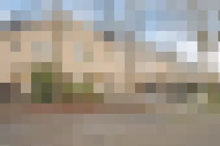 Esdoornplantsoen 19 Almere thumbnail 7