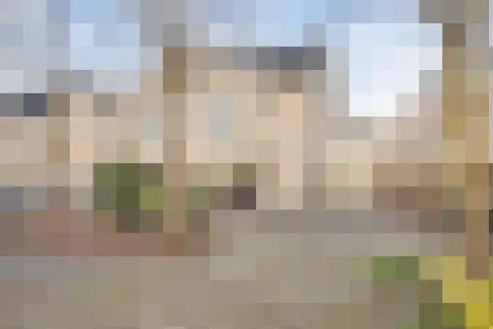 Esdoornplantsoen 19 Almere thumbnail 9