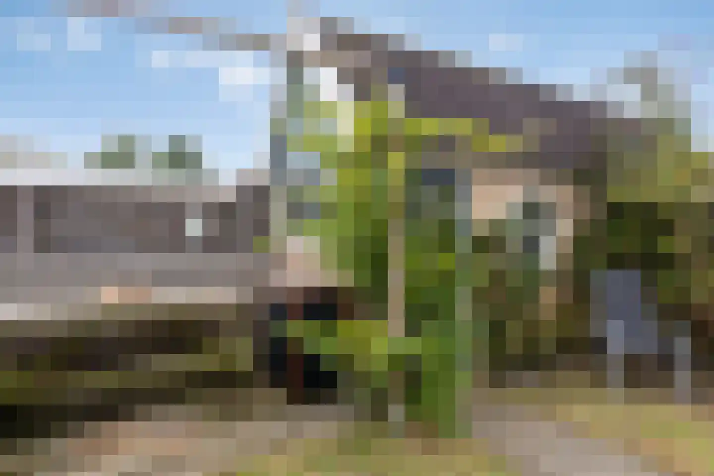 Esdoornplantsoen 23 Sint Maarten thumbnail 34