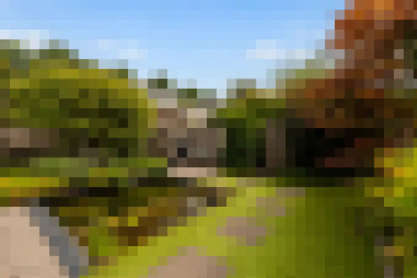 Esdoornplantsoen 30 Almere thumbnail 41