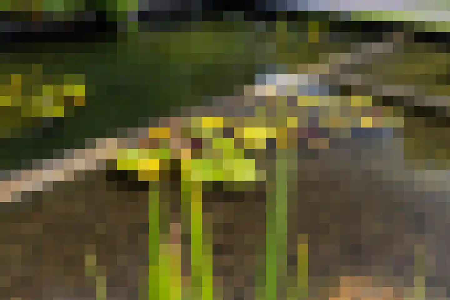 Esdoornplantsoen 30 Almere thumbnail 47