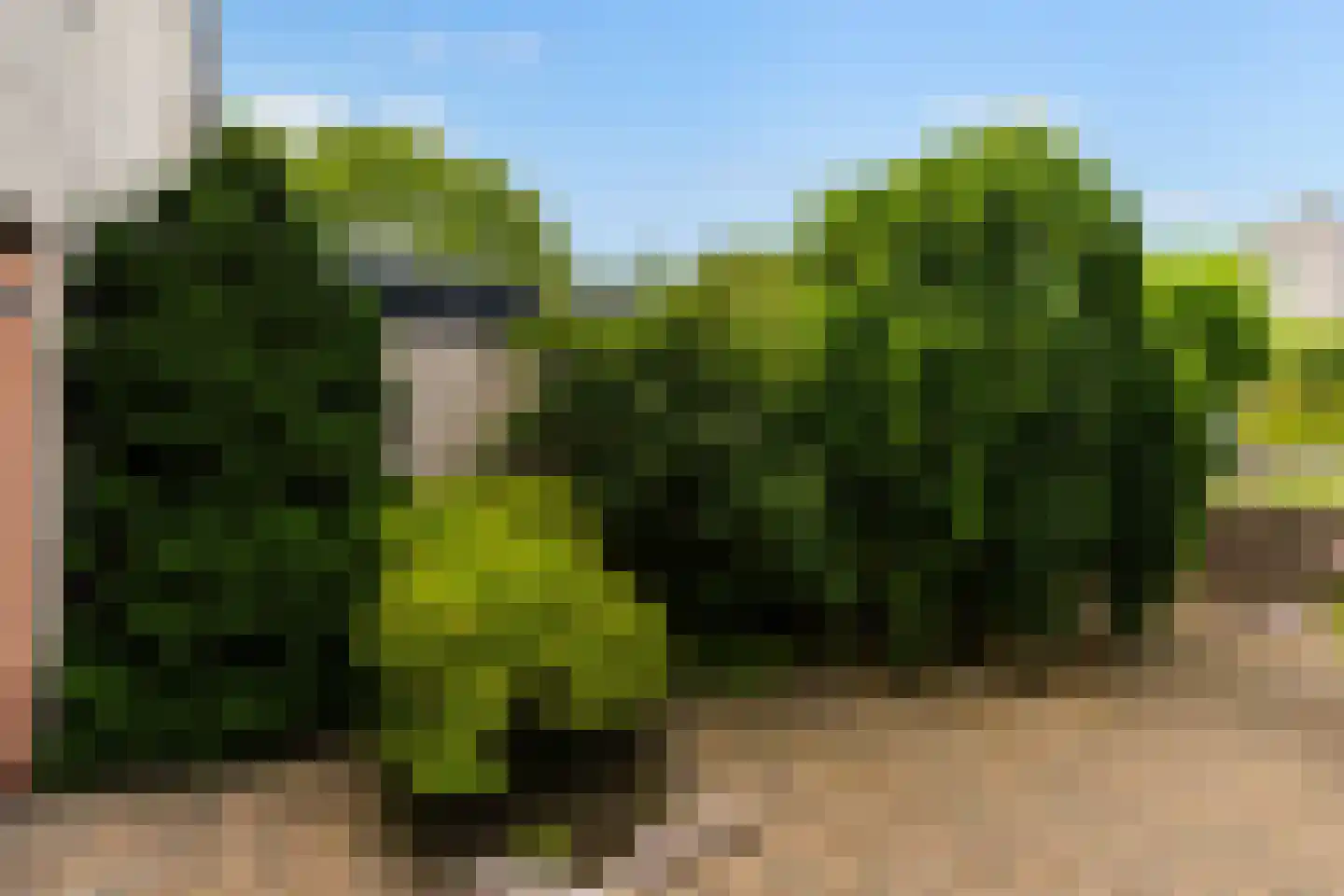 Esdoornplantsoen 30 Almere thumbnail 5