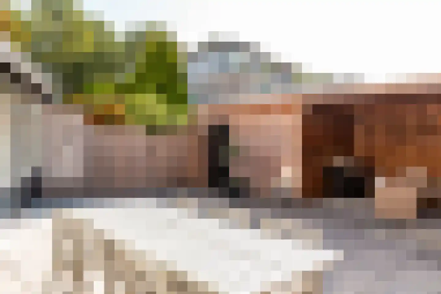 Esdoornplantsoen 32 Almere thumbnail 33