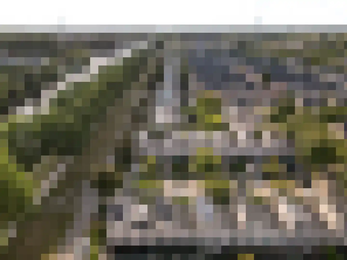 Esdoornplantsoen 32 Almere thumbnail 36
