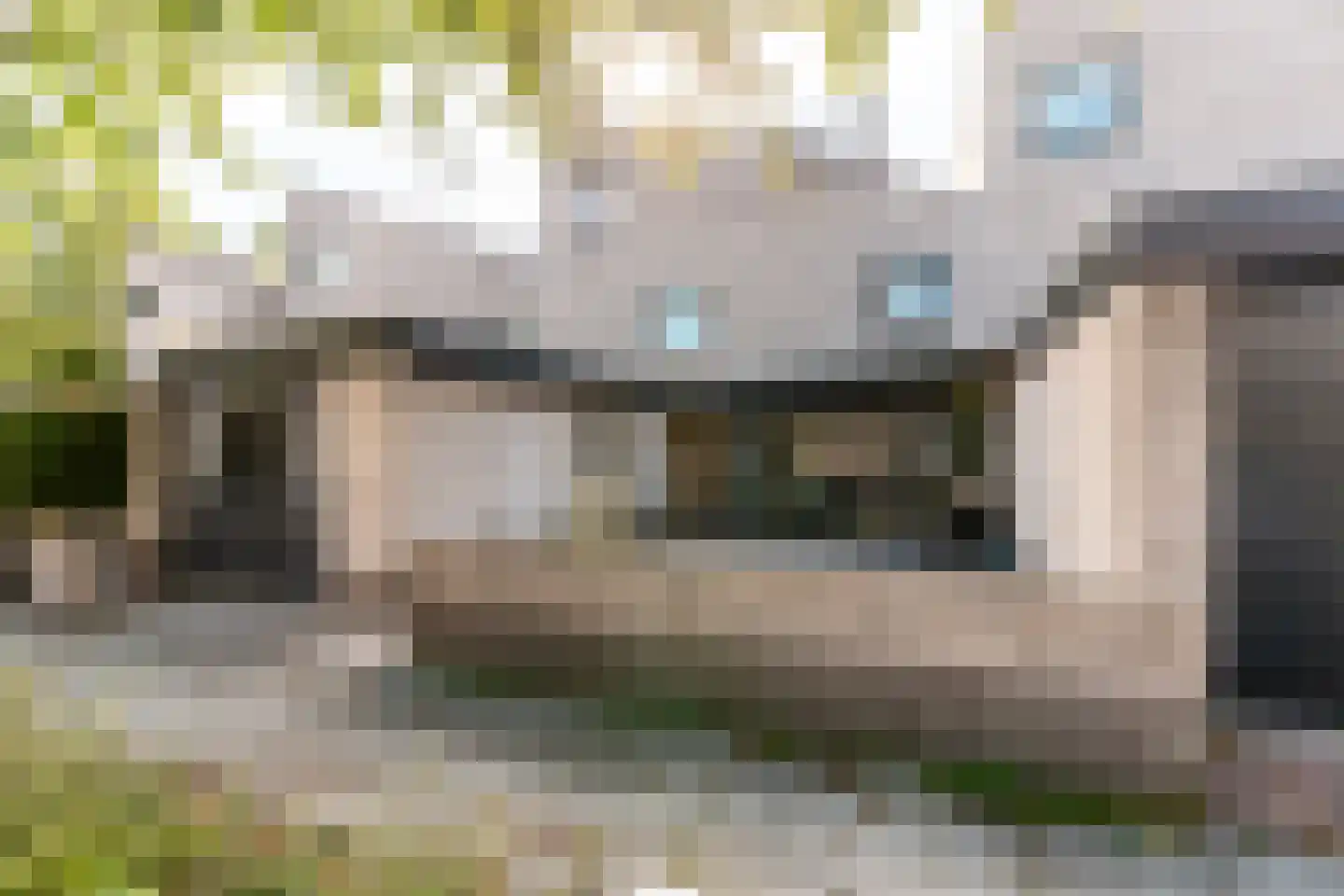 Esdoornplantsoen 32 Almere thumbnail 4