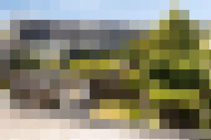 Esdoornplantsoen 41 Almere thumbnail 30