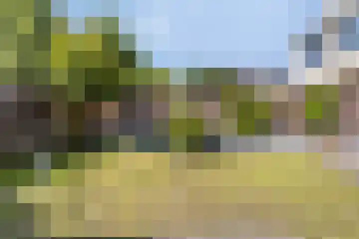 Esdoornplantsoen 41 Almere thumbnail 31
