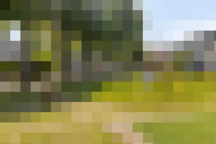 Esdoornplantsoen 41 Almere thumbnail 33