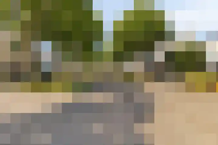 Esdoornplantsoen 41 Almere thumbnail 5