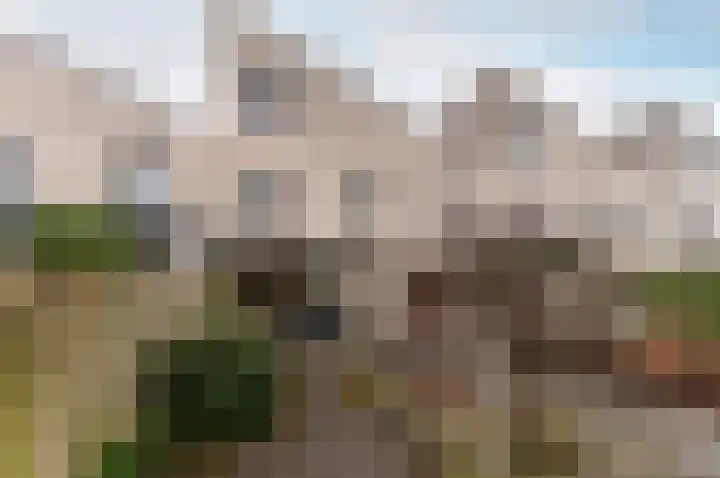 Esdoornplantsoen 54 Almere thumbnail 4