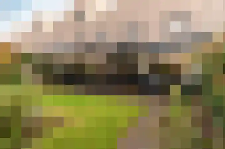Esdoornplantsoen 66 Almere thumbnail 38
