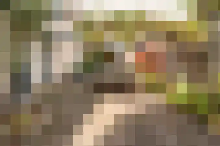 Esdoornplantsoen 66 Almere thumbnail 8
