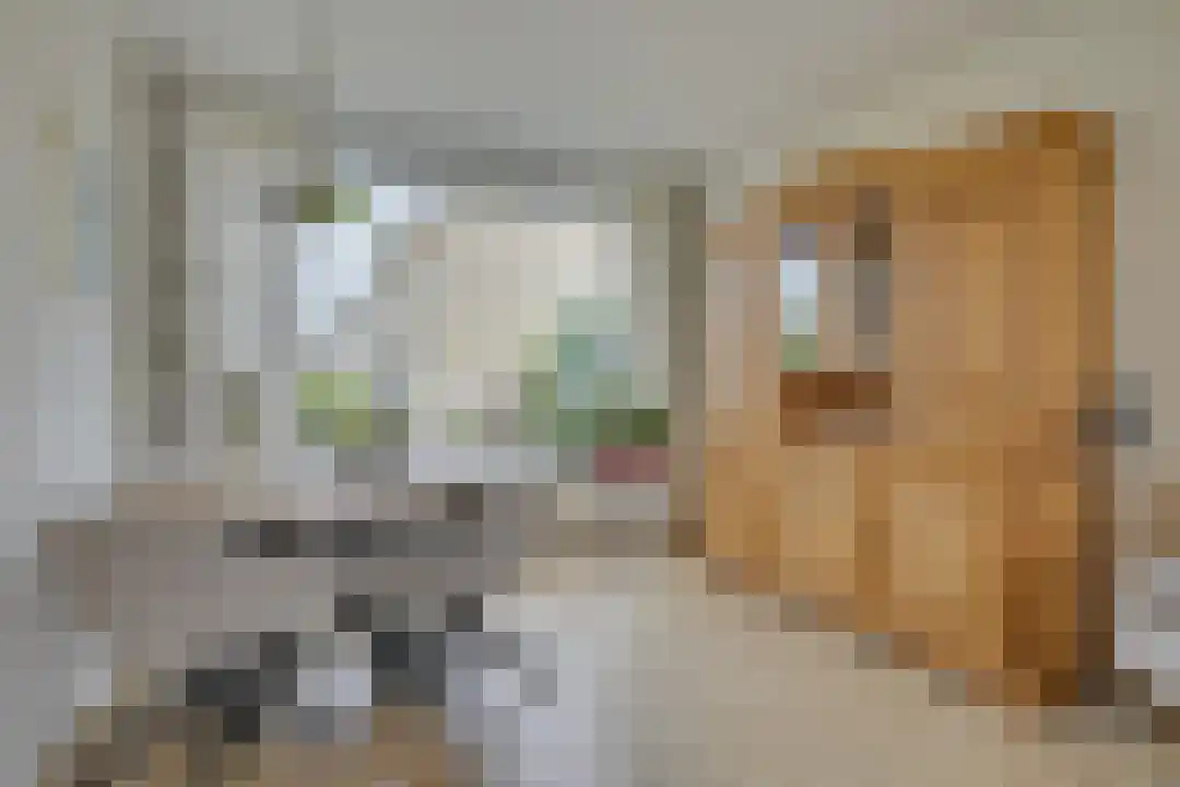 Esdoornplantsoen 73 Schoorl thumbnail 11