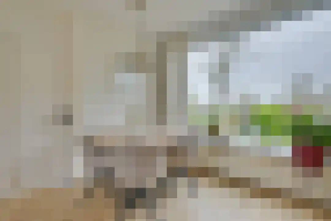 Esdoornplantsoen 73 Schoorl thumbnail 12