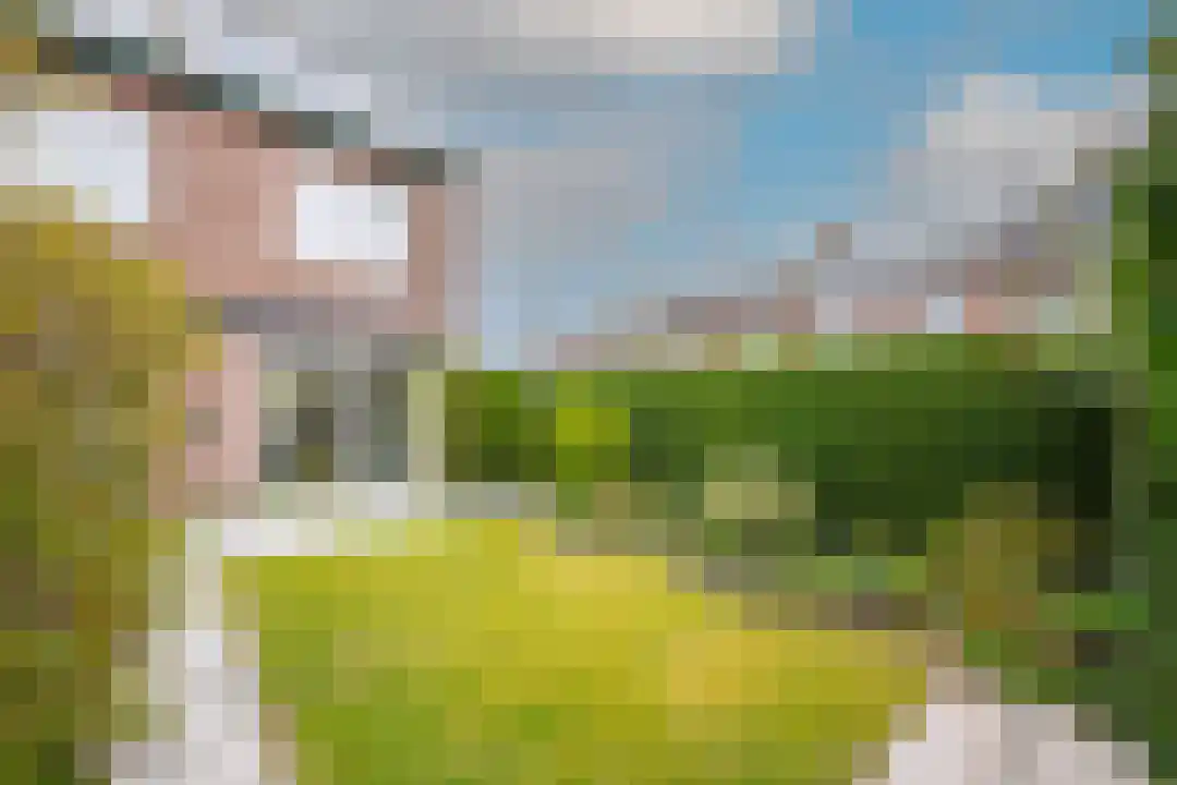 Esdoornplantsoen 73 Schoorl thumbnail 15