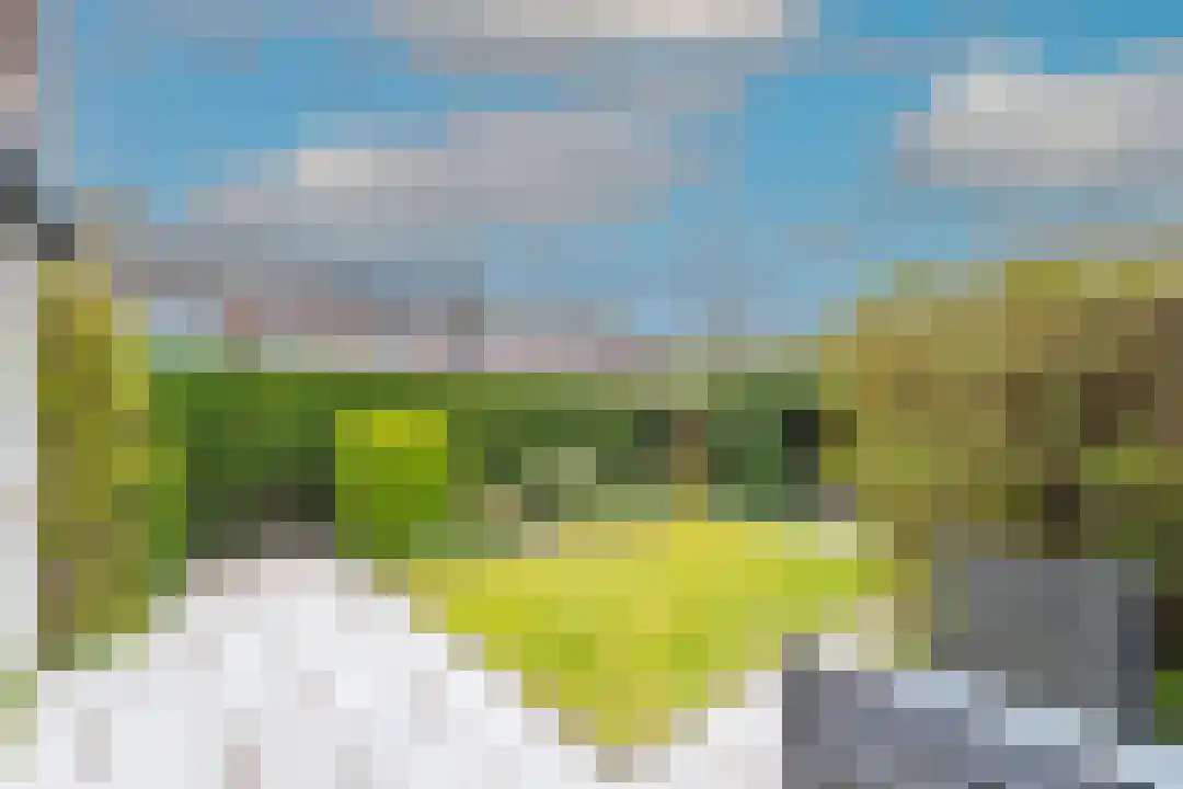 Esdoornplantsoen 73 Schoorl thumbnail 16