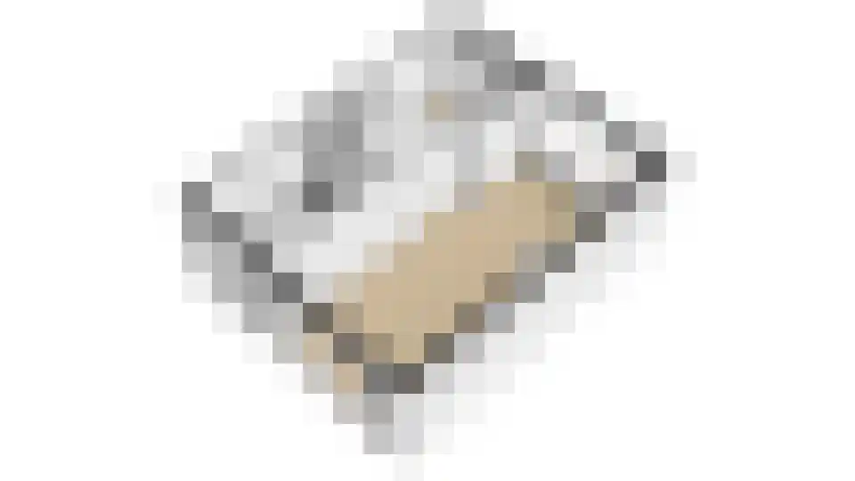 Esdoornplantsoen 73 Schoorl thumbnail 40