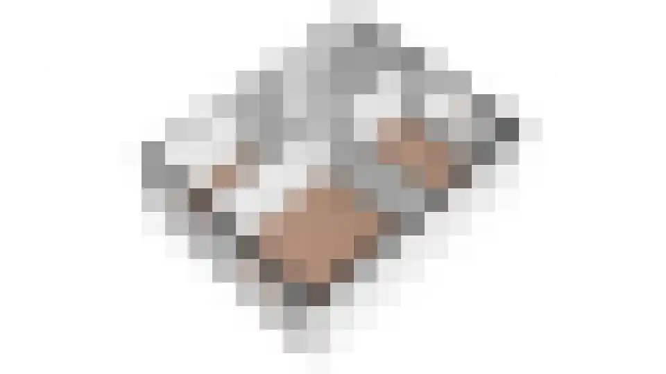 Esdoornplantsoen 73 Schoorl thumbnail 43