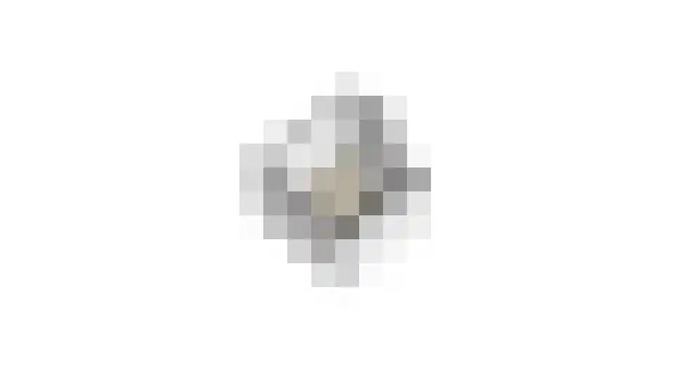 Esdoornplantsoen 73 Schoorl thumbnail 48